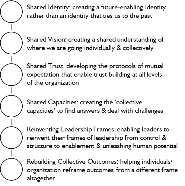 A six-step roadmap: Shared Identity, Shared Vision, Shared Trust, Shared Capacities, Reinventing Leadership Frames, Rebuilding Collective Outcomes
